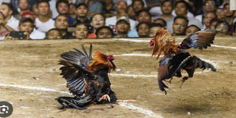 Được hỗ trợ bảo mật rõ ràng