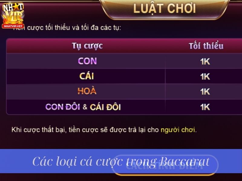 Các loại cá cược trong Baccarat