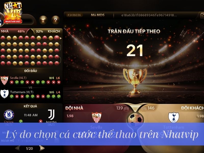 Lý do chọn cá cước thể thao trên Nhatvip