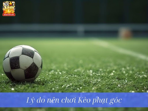 Lý do nên chơi Kèo phạt góc